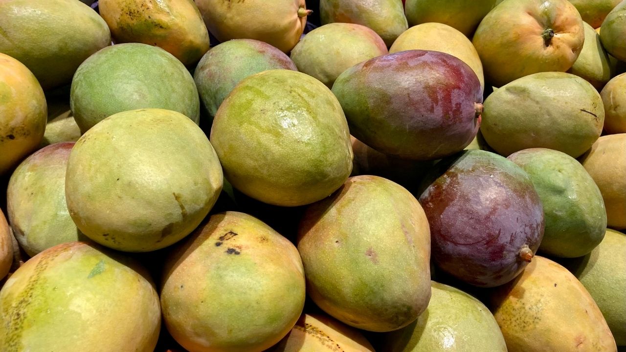 Up Dussehri Langra Mango Export To Dubai By Sea Route To Boost Farmers Income Reduces Export Cost