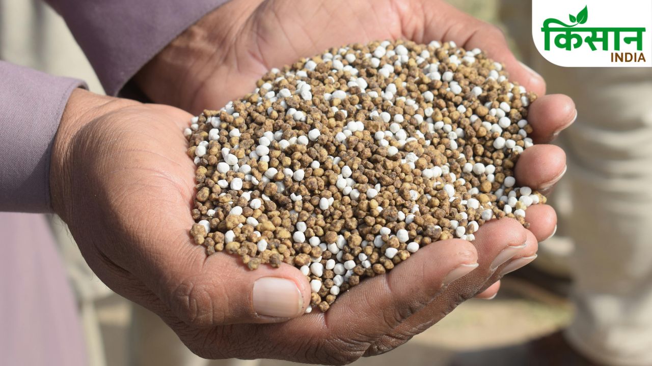 How To Identify Real And Fake Urea Dap Fertilizer With Simple Test