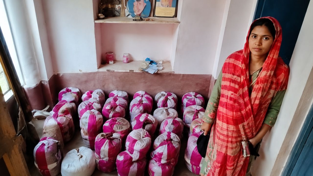 Bihar Bhagalpur Rajlakshmi Kumari Mushroom Farming Success Story