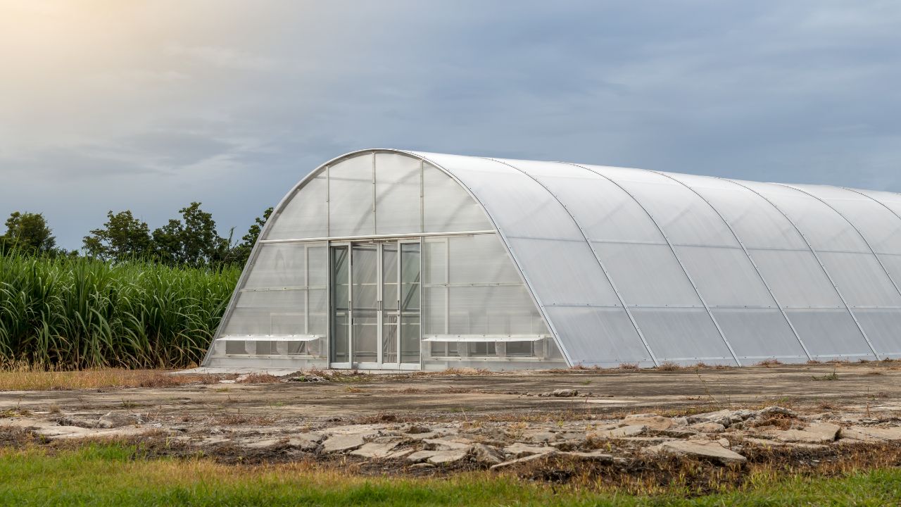 Farmers Crops Not Spoil Solar Dryer To Save Produce And Provide 1 50 Lakh Subsidy