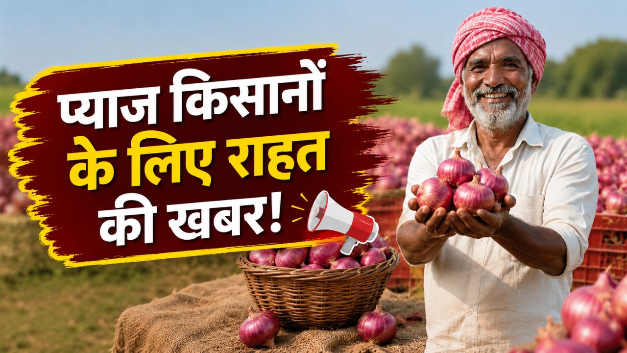 Onion Price Hike 13 Percent Government 2125 Per Quintal New Procurement Rate