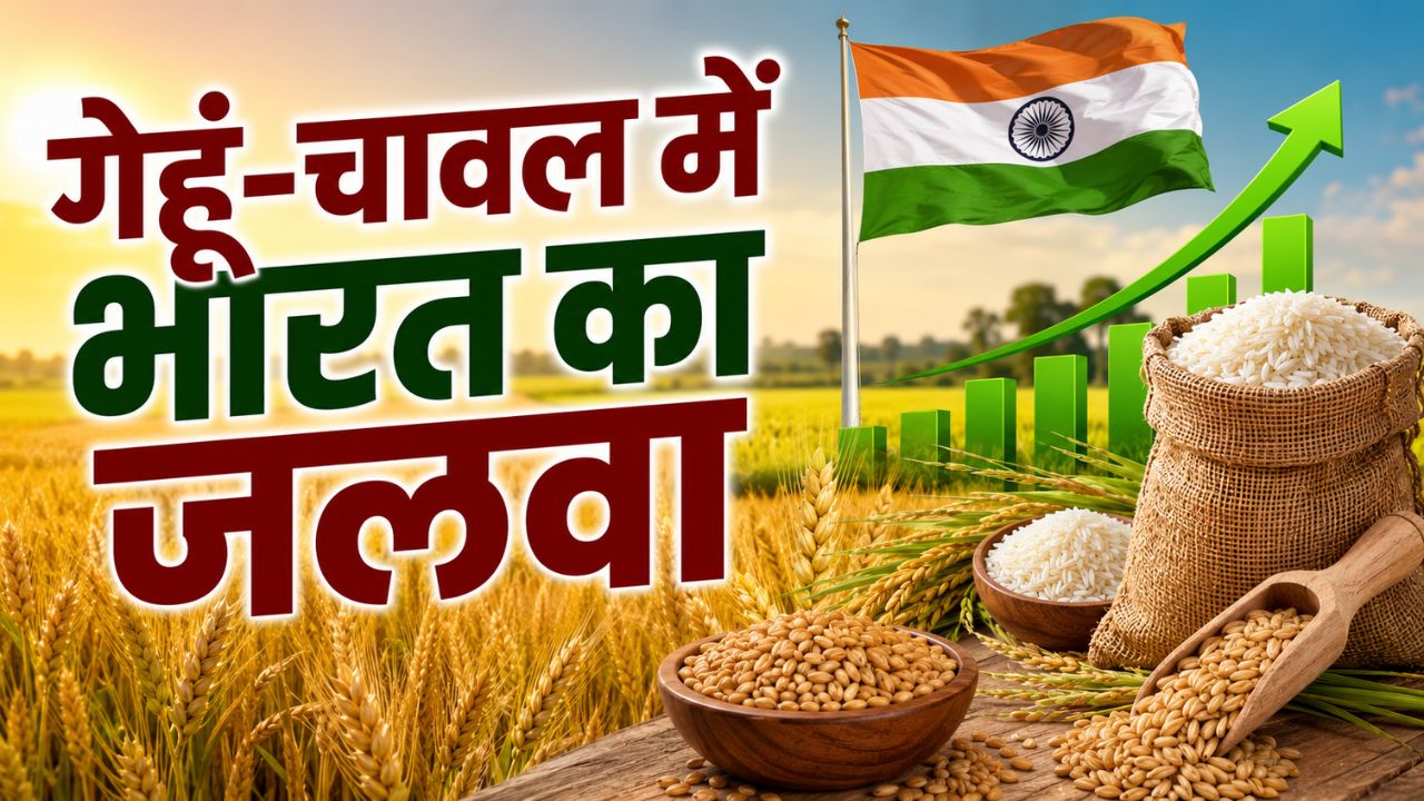 Usda Report India Wheat Production 12 Crore Tonnes Rice Production Strong Position