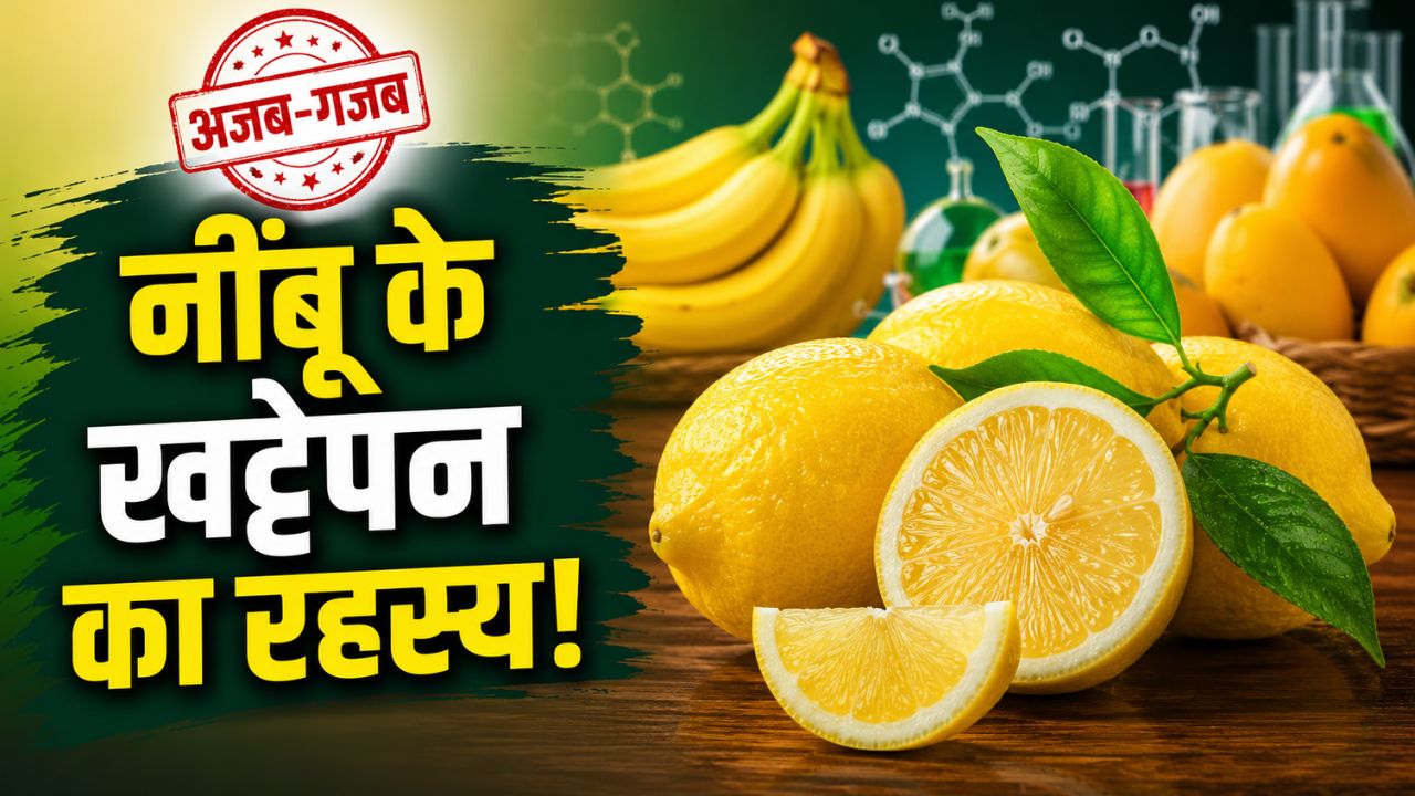 Why Lemon Remains Sour While Mango Banana Become Sweet Scientific Reason