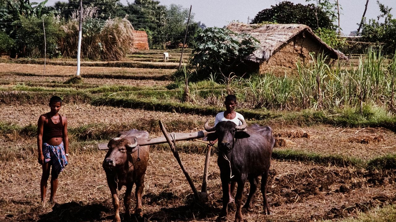 Mixed Farming Formula Year Round Income One Crop Loss No Problem