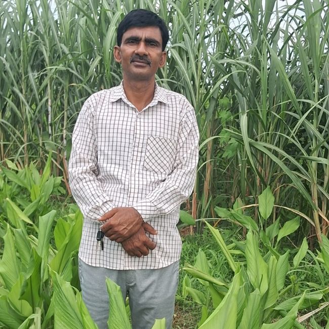 Organic Farming, Turmeric Farming, Natural Farming, Value Addition, Farmer Success Story, Agriculture Business