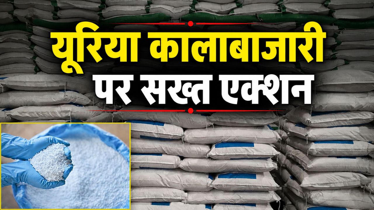 Illegal Storage Neem Coated Urea Uncovered In Coimbatoretamil Nadu 60 Tons Of Fertilizer Seized