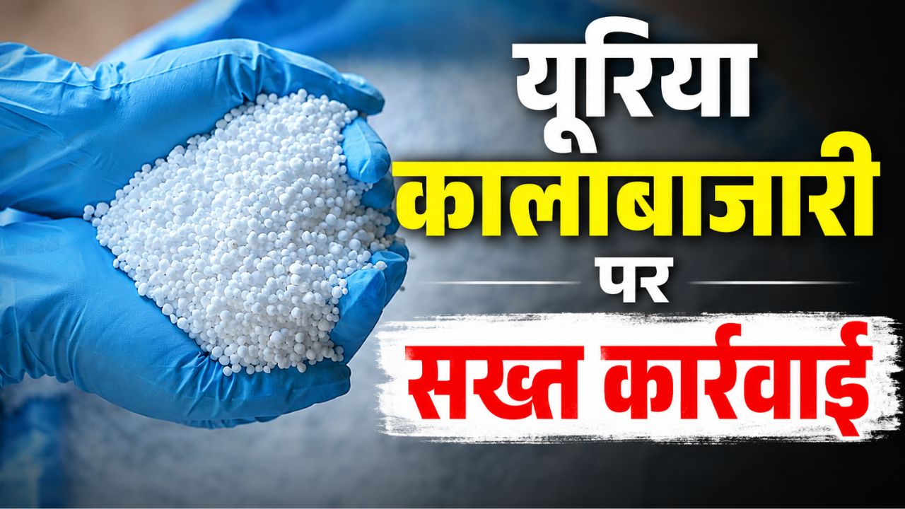 Punjab Takes Major Action Against Misuse Subsidized Urea Fir Registered Against Several People