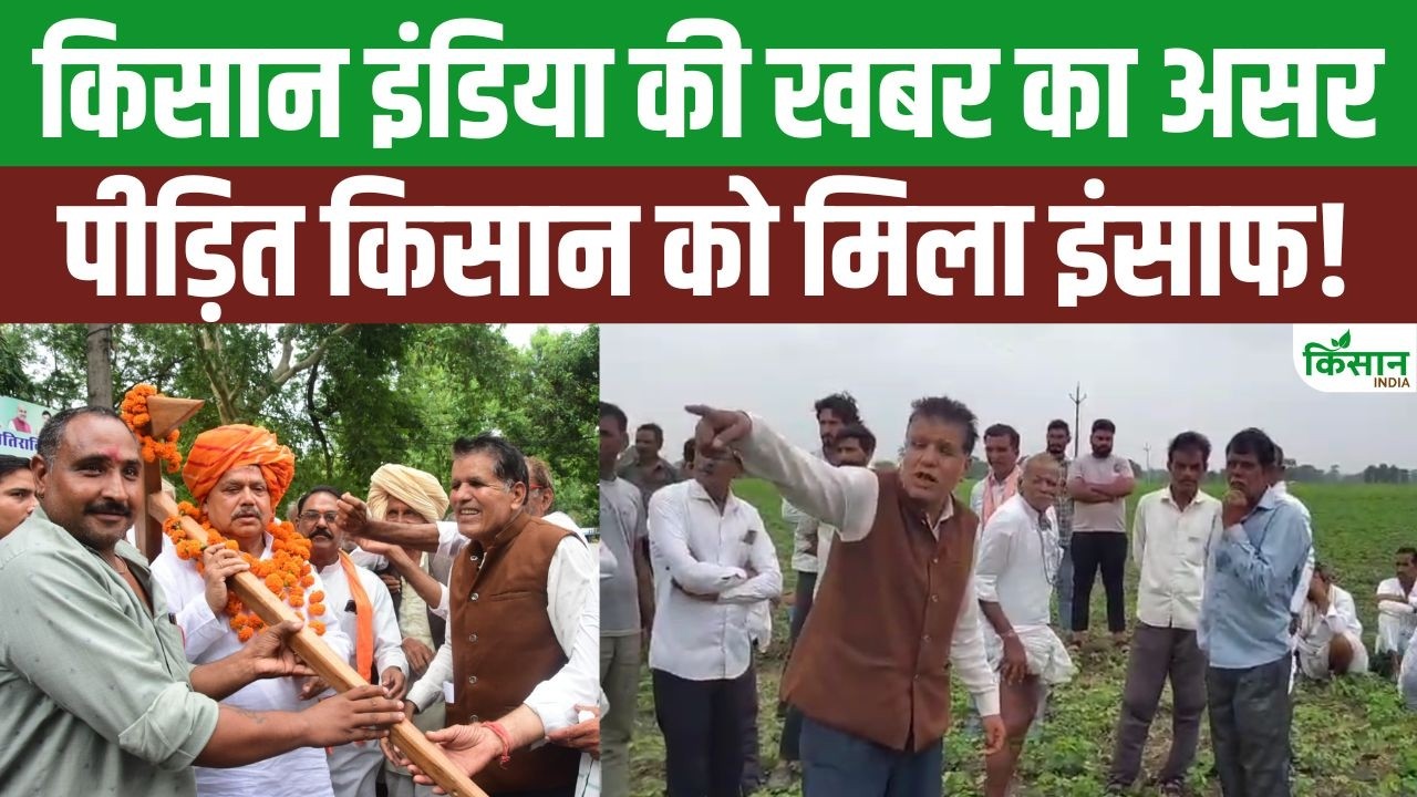 Action Taken Following Sehore Electrocution Incident A Team Arrived In Village On Cm Mohans Instructions And Electricity Department Initiated An Investigation