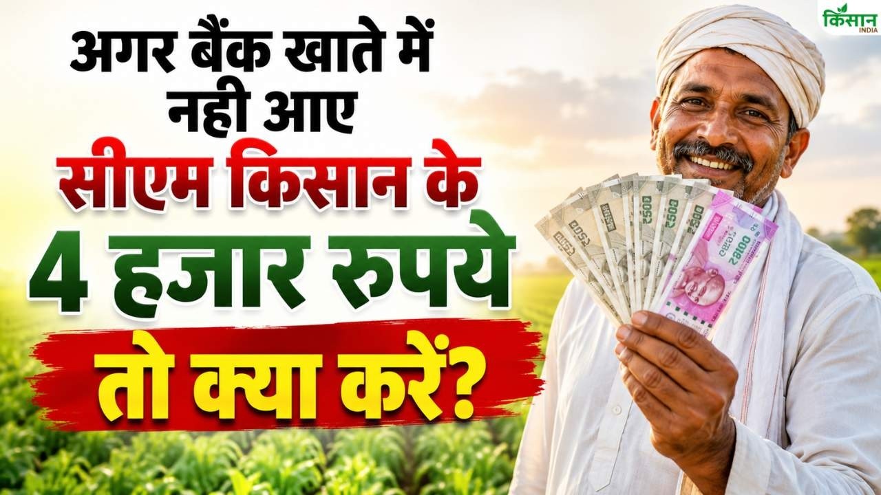 Major Update On Cm Kisan Yojana If You Have Not Received 4000 Take This Important Step Immediately