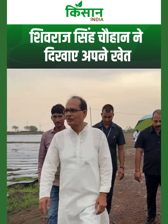 शिवराज सिंह चौहान खुद उतरे खेत में, किसानों को दिया 'कमाई का नया मॉडल'
