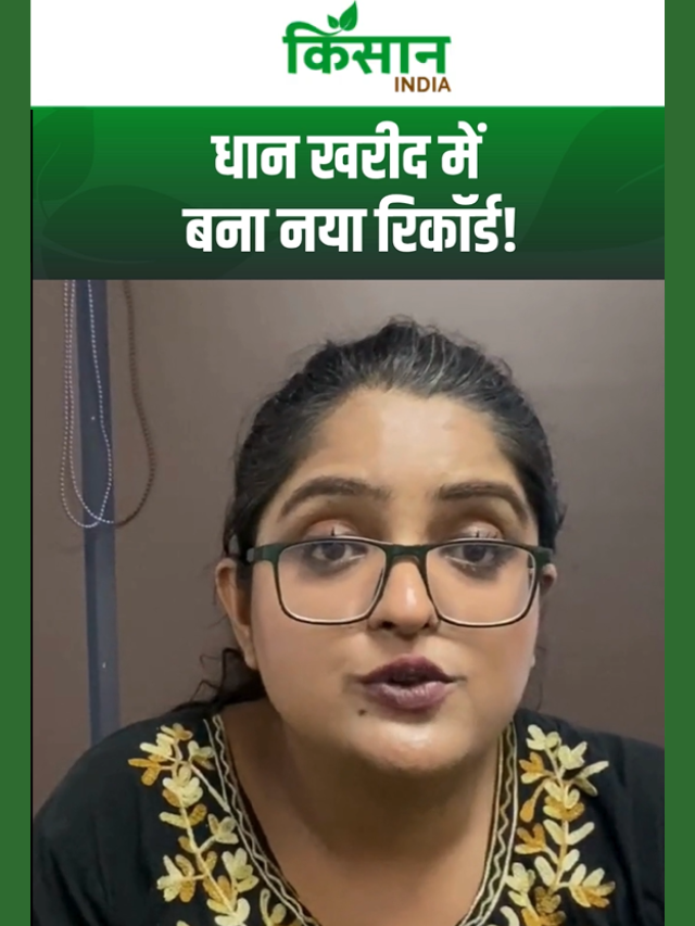 धान खरीद का ऐतिहासिक रिकॉर्ड, 24 घंटे में सीधे किसानों के खाते में पहुंचे 31,000 करोड़