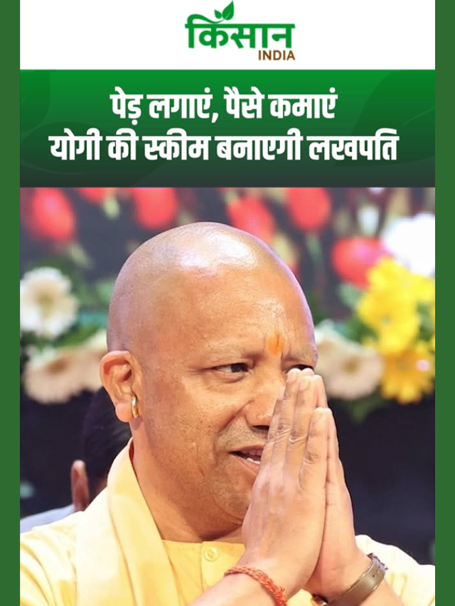 हवा साफ करो और पैसे कमाओ, यूपी की 'कार्बन क्रेडिट' स्कीम से किसान बनेंगे लखपति