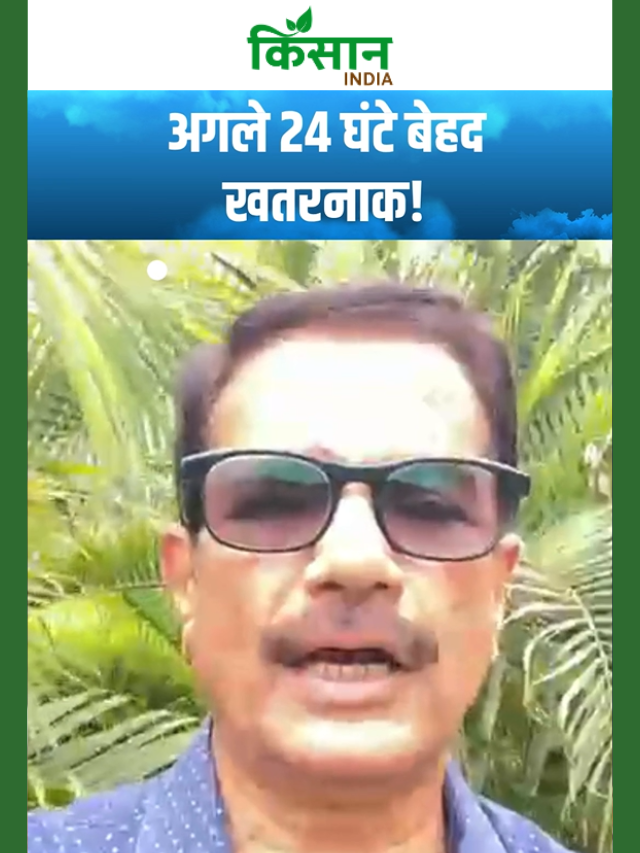 20 राज्यों में भारी बारिश का अलर्ट, Uttarakhand में फ्लैश फ्लड का खतरा, यूपी में बारिश