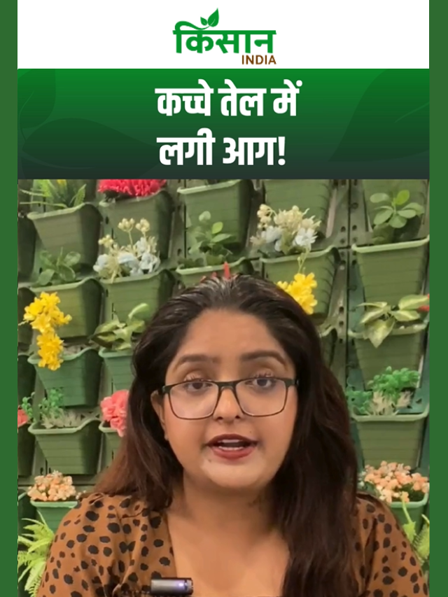 अमेरिका-ईरान जंग के बीच सरकार का बड़ा फैसला, डीजल पर बढ़ा भारी टैक्स!