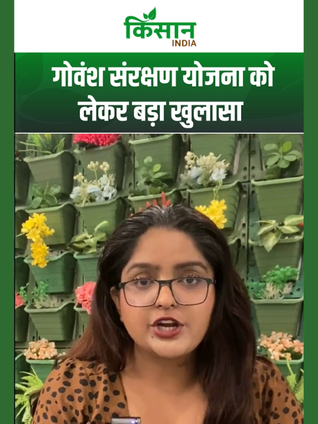गौमाता के नाम पर 57 करोड़ का घोटाला, जो गाय थी ही नहीं, उसके नाम पर भी डकार गए सरकारी पैसा