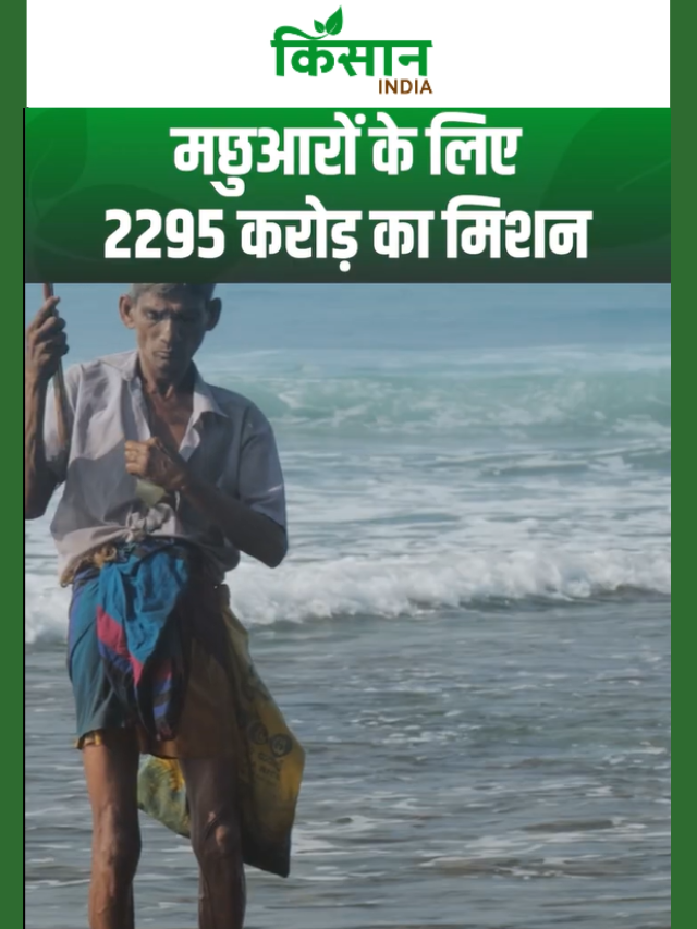 मछुआरों की चमकी किस्मत, ओडिशा सरकार का 2,295 करोड़ का 'Deep Sea Fishing' मिशन