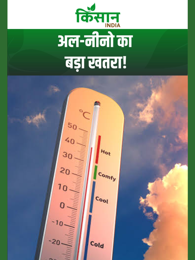 El Nino Alert: किसानों पर सूखे का खतरा, 51% कम बारिश ने बढ़ाई चिंता