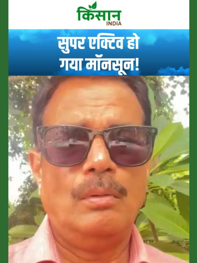 कुदरत का सबसे भयानक रूप, इन राज्यों में डूब जाएंगे गांव और शहर!