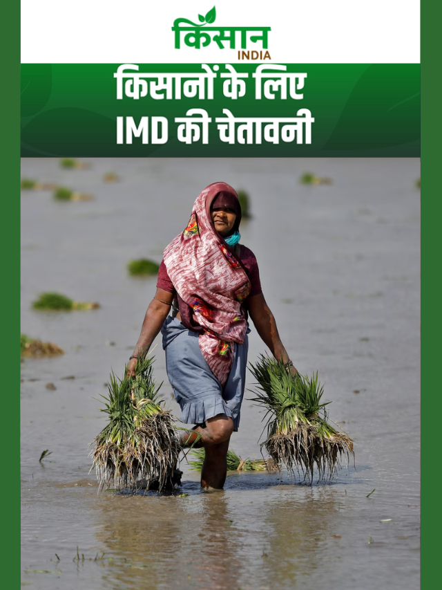 किसान सावधान! भारी बारिश आएगी, खेतों में पानी भरने का खतरा