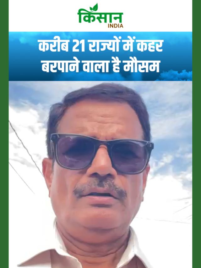 बंगाल की खाड़ी में डिप्रेशन एक्टिव, देश के बड़े हिस्से में मौसम का कहर