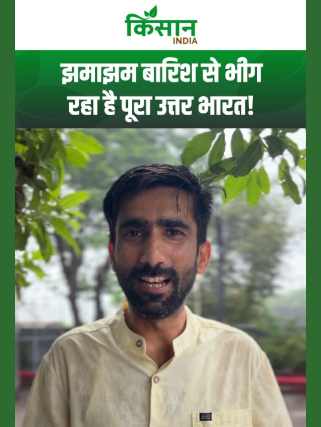 झमाझम बारिश से भीग रहा है पूरा उत्तर भारत, Delhi-NCR में भयंकर बारिश का अलर्ट!