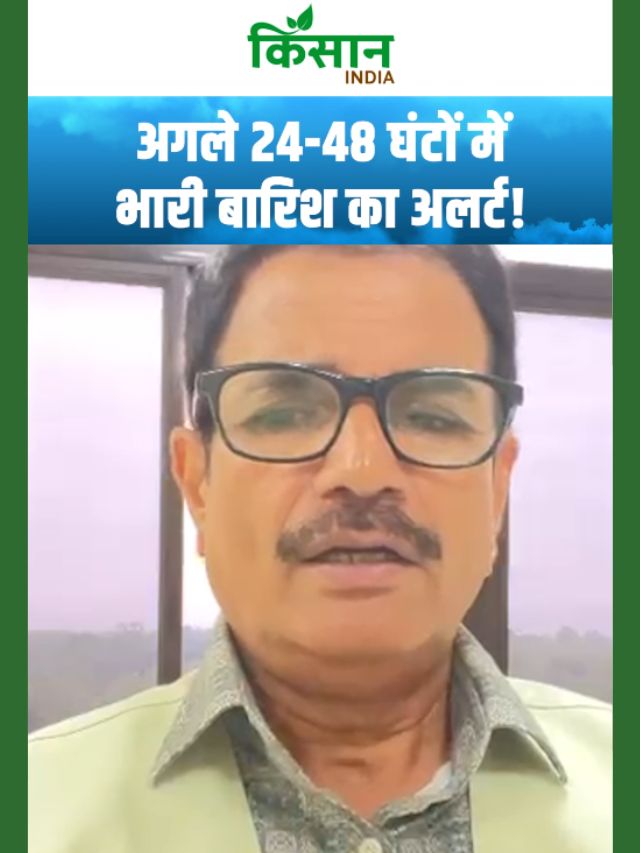 इन इलाकों में होगी जोरदार बारिश, IMD ने जारी की 23 राज्यों में चेतावनी!