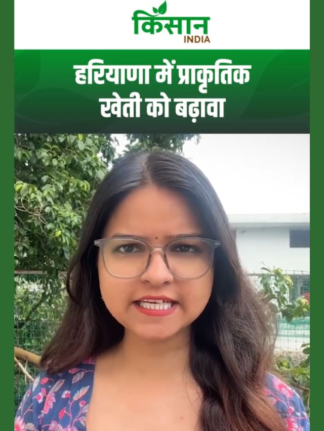 हरियाणा में प्राकृतिक खेती को बढ़ावा, सीएम सैनी का ऐलान, हर जिले में बनेगी किसान प्रेरक कमेटी!