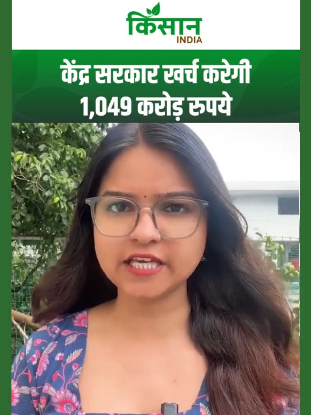 खोपरा और तोतापुरी आम की सरकारी खरीद मंजूर, 1,049 करोड़ होंगे खर्च
