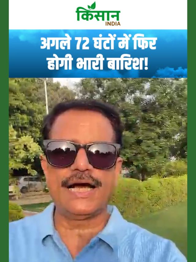 अगले 72 घंटों में भारी बारिश की संभावना! इन इलाकों में मॉनसून फिर होगा एक्टिव!