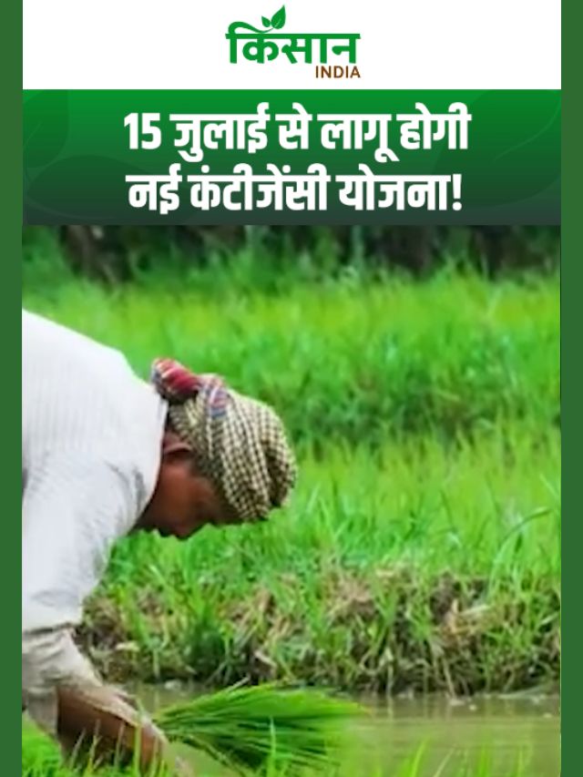 El Nino का खतरा! 15 जुलाई से लागू होगी नई कंटीजेंसी योजना, किसानों को धान छोड़ इन फसलों की सलाह!