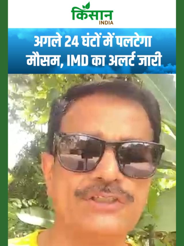 अगले 24 घंटों में पलटेगा मौसम, IMD का अलर्ट जारी! इन इलाकों में जमकर होगी बारिश