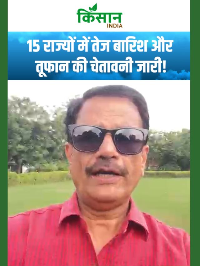 अगले 24 घंटों में कहां पलटेगा मौसम, किन इलाकों में होगी जबरदस्त बारिश, IMD का अलर्ट!