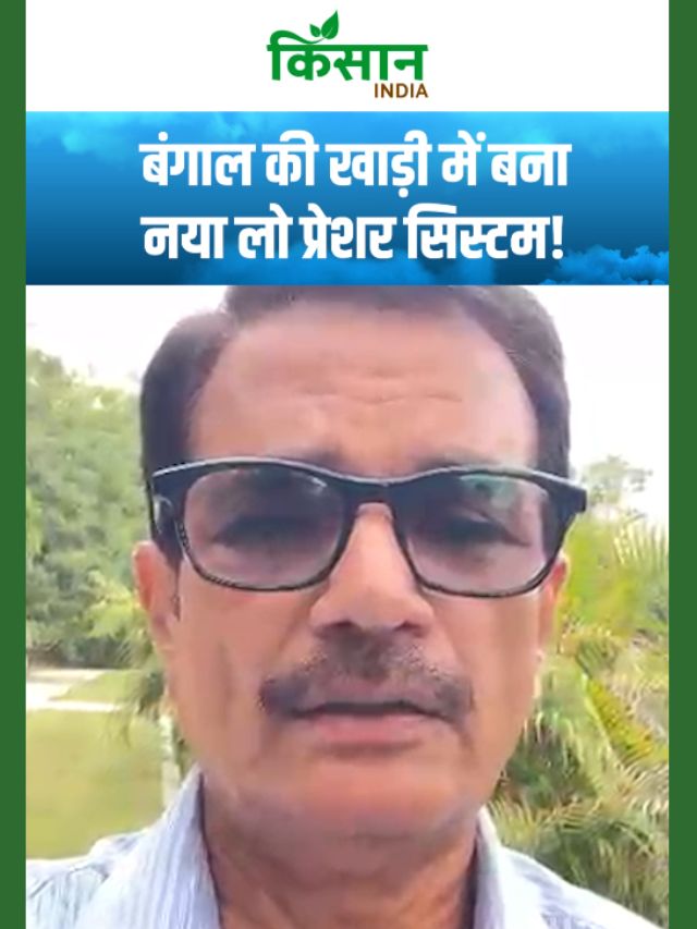 बंगाल की खाड़ी में बना नया लो प्रेशर सिस्टम, कई राज्यों में होगी झमाझम बारिश!