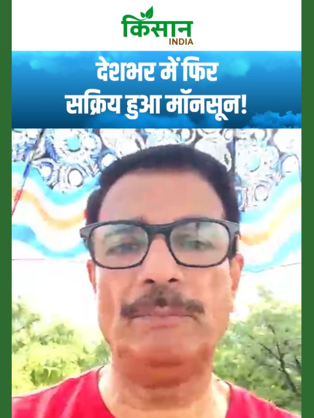 देशभर में फिर सक्रिय हुआ Monsoon, एक साथ सक्रिय हुए 8 चक्रवाती सिस्टम!