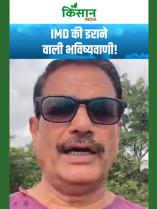 IMD की डराने वाली भविष्यवाणी! 17 राज्यों में तेज बारिश से बढ़ेगी मुश्किल!
