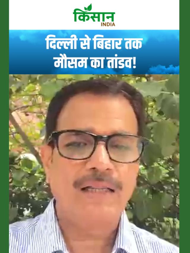 दिल्ली से यूपी-बिहार तक मौसम का तांडव! IMD ने जारी किया बड़ा अलर्ट!