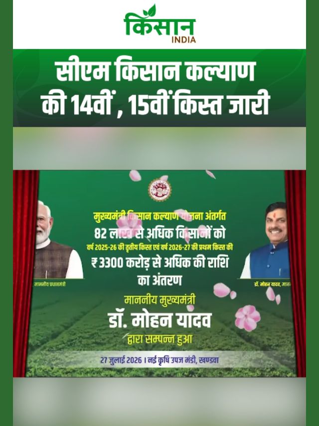 सीएम किसान कल्याण योजना की 14वीं और 15वीं किस्त हुई जारी, CM Mohan Yadav ने किसानों की बड़ी सौगात!