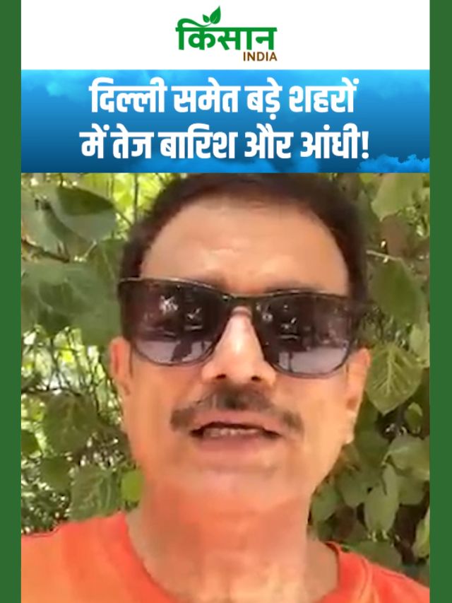 दिल्ली-एनसीआर समेत बड़े शहरों में तेज बारिश और आंधी का अलर्ट, मौसम विभाग की बड़ी चेतावनी!