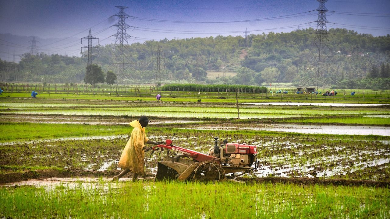 Weather Update Heavy Rain Thunderstorms Is Expected In 23 States A Yellow Alert Issued