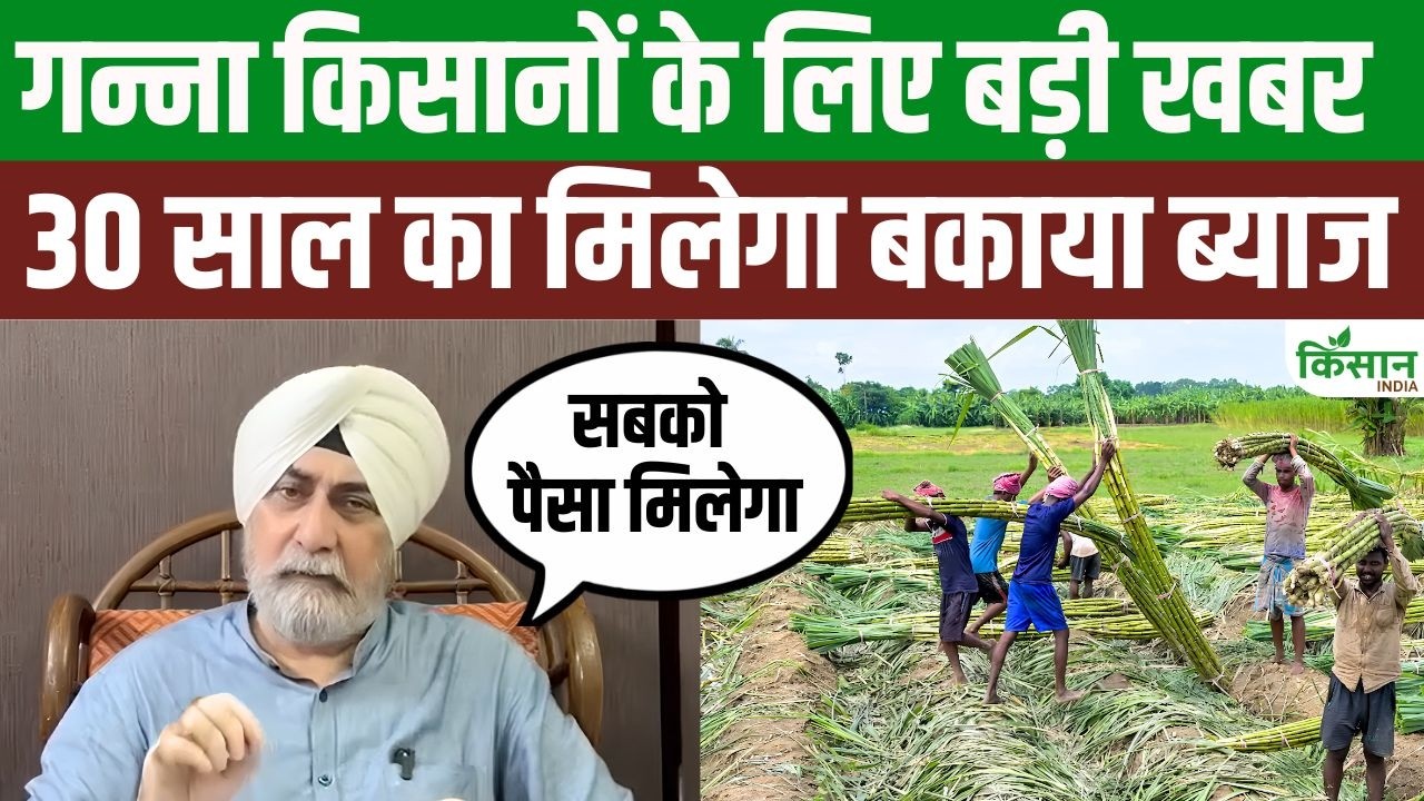 Great News Sugarcane Farmers They Receive Payment For 30 Year Old Outstanding Interest