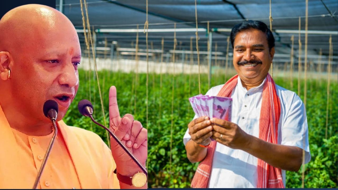 Uttar Pradesh News Yogi Government Horticulture Scheme Farmers Income Midh Subsidy Polyhouse Greenhouse