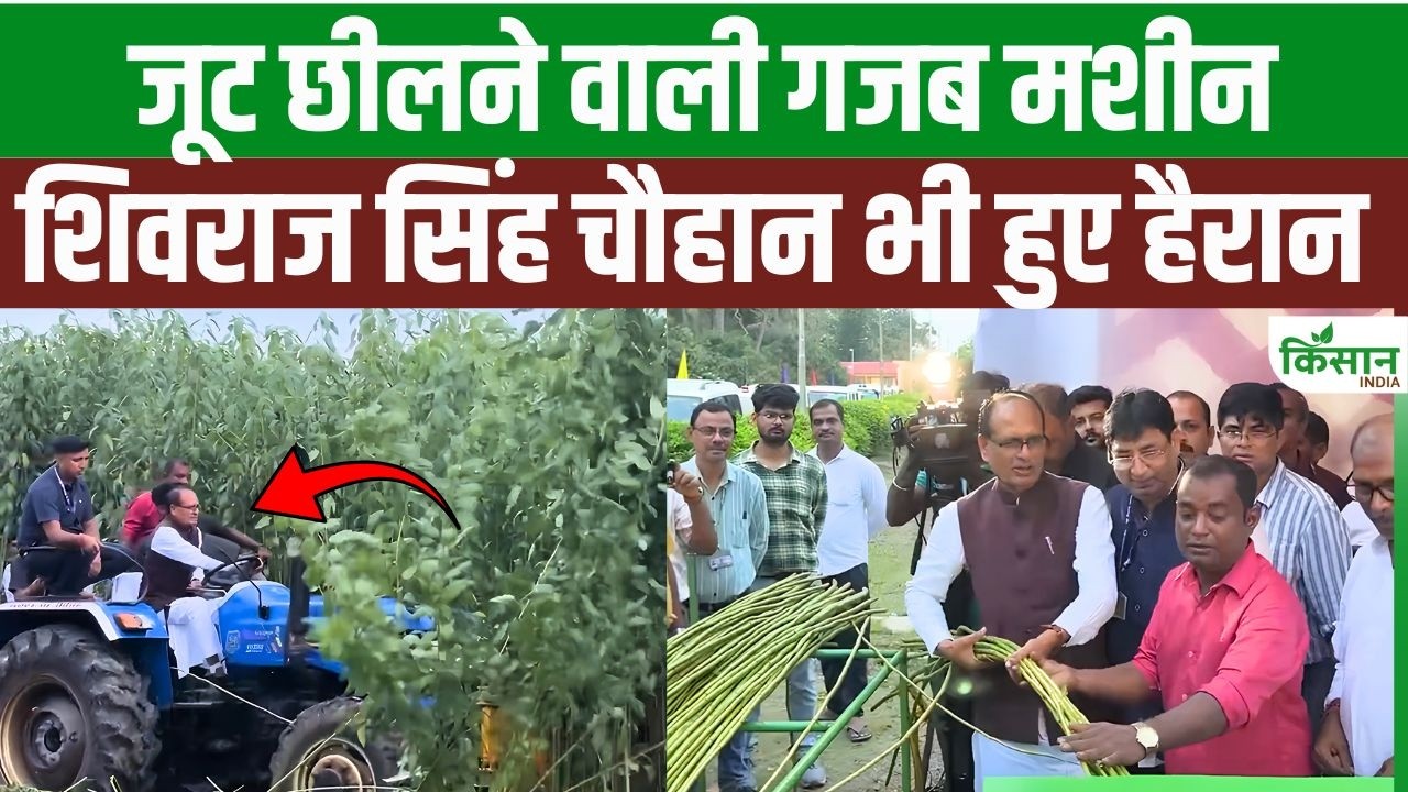 Revolution In Jute Farming A 25 Day Task Completed In Just 5 Minutes Agri Minister Shivraj Singh Chouhan Operated Machine Himself