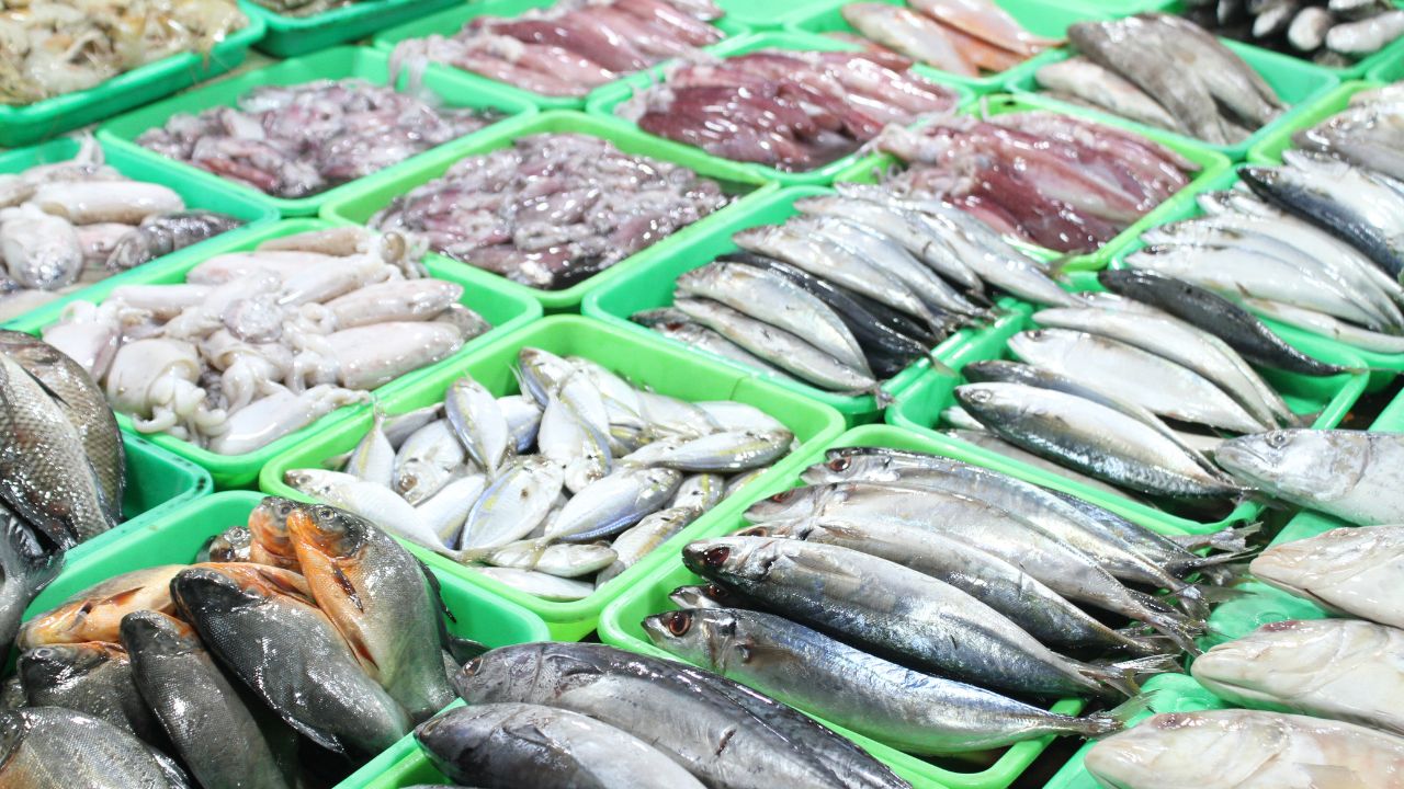 El Nino May Reduce Fish Production Oil Sardines Are The Most Affected