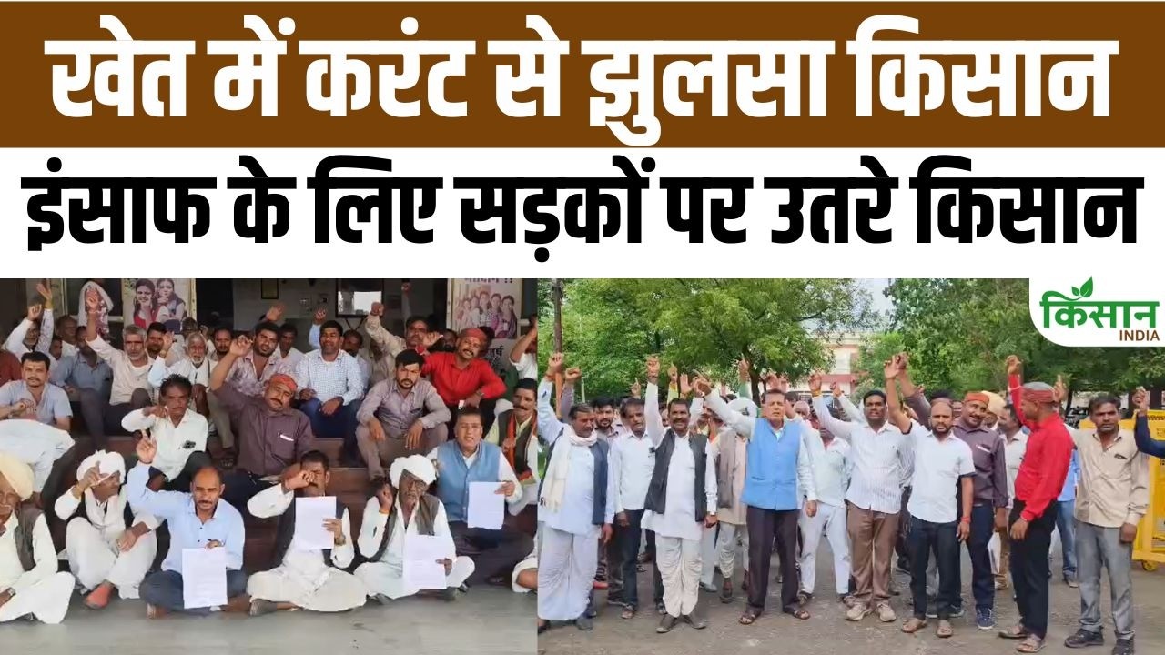 Serious Allegations Against Electricity Department Sehore Farmer Suffers Burns Electric Shock Field Demands Compensation Intensify