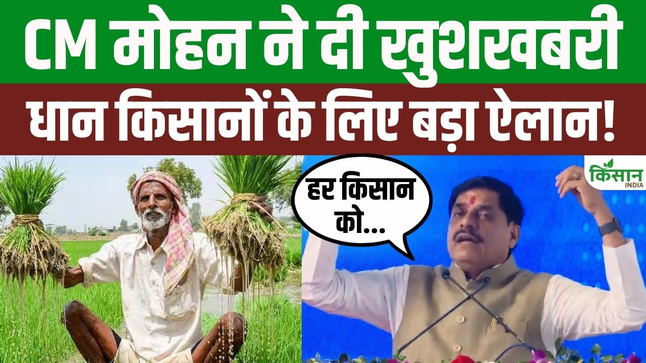 Major Relief Paddy Farmers Cm Mohan Yadav Announces Significant Benefits Under Bhavantar Scheme