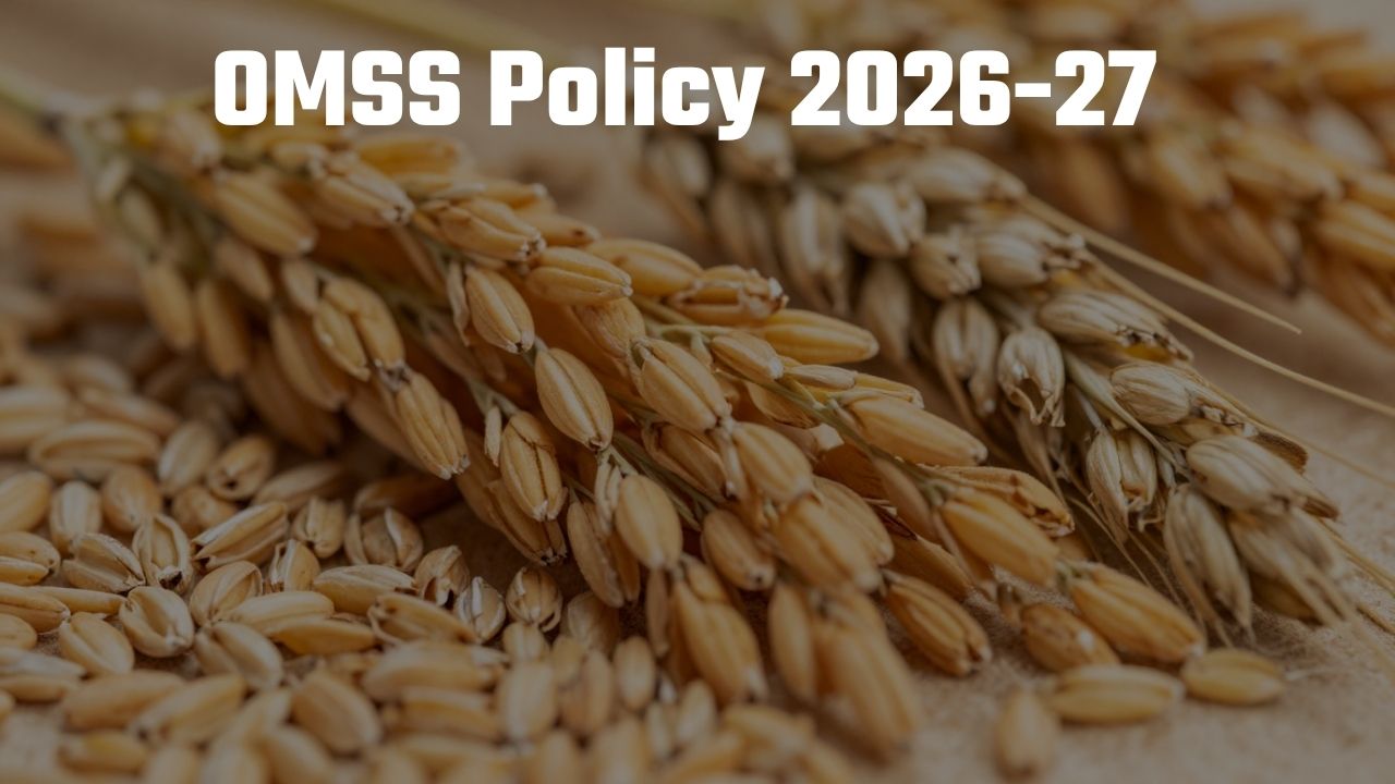 Ethanol Rice Price Omss Policy 2026 Fci Rice Wheat Fix Price No Sale Volume Announced El Nino