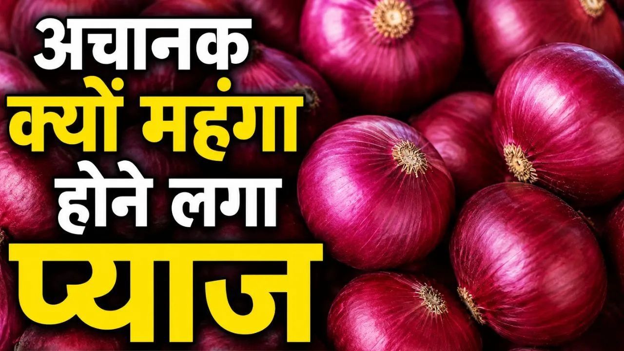 Onion Market Rate Onion Price Hike Lasalgaon Apmc Onion Rate Rs 2700 Per Quintal