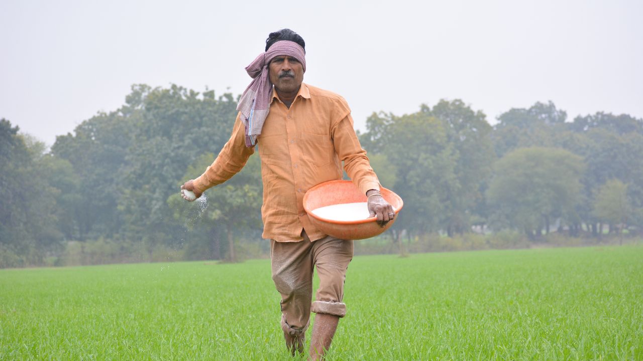 Agricultural Scientists Have Developed Low Cost Biochar Technology