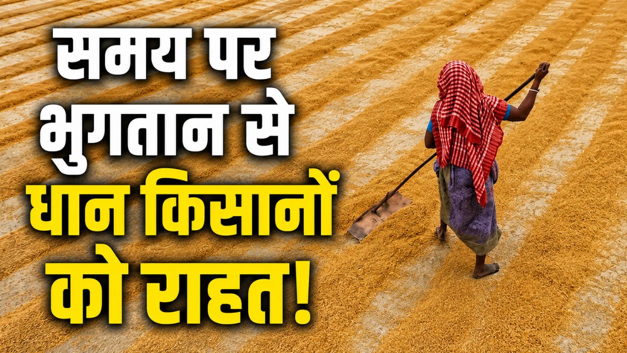 Record Paddy Purchase In Andhra Pradesh Payment Rs 31000 Crore In 24 Hours