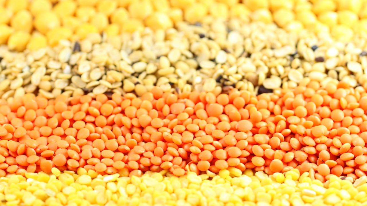 Kharif Season Farmers Relief Pulse Seeds 50 Percent Subsidy Free Kit Scheme